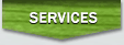 Services We Provide